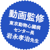 動画監修東京動物心臓病センター長岩永孝治先生