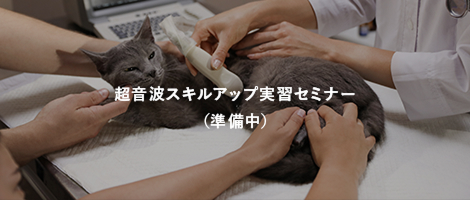 超音波スキルアップ実習セミナー