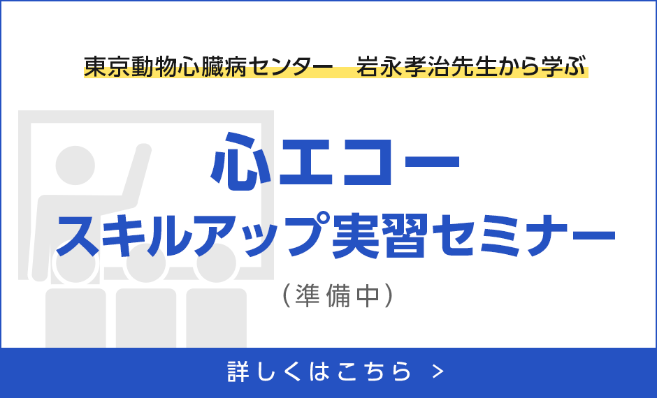 東京動物心臓病センター　岩永孝治先生から学ぶ【心エコースキルアップ実習セミナー】　・ビギナーズコース　・経験者コース　詳しくはこちら