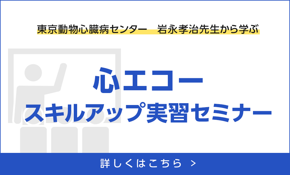 東京動物心臓病センター　岩永孝治先生から学ぶ【心エコースキルアップ実習セミナー】　・ビギナーズコース　・経験者コース　詳しくはこちら